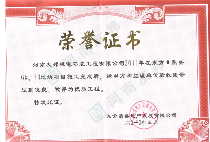 東方鼎盛榮譽(yù)證書(shū)